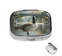 Pill Box 2 Compartment Medicine Pills Case for Pocket or Purse Mini Metal Pills Holder Wild Goose by The Bridge Pill Organizer Portable Travel Medicine Container to Hold Supplements Vitamins