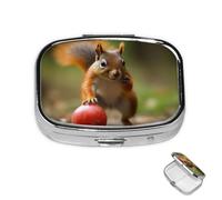 Pill Box 2 Compartment Metal Medicine Pill Organizer Squirrel Holding Fruit Pill Case for Purse or Pocket Cute Mini Portable Pill Holder Travel Pill Container to Hold Supplements, Vitamins, Fish Oil