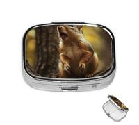Pill Box 2 Compartment Metal Medicine Pill Organizer Squirrel Sticks Out Tongue Pill Case for Purse or Pocket Cute Mini Portable Pill Holder Travel Pill Container to Hold Supplements Vitamins