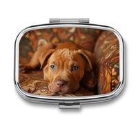 Pill Box 2 Compartment Metal Medicine Pill Organizer Travel Pill Container | Dog Lying on The Sofa Pill Case for Purse or Pocket Cute Mini Portable Pill Holder to Hold Supplements Vitamins Fish Oil