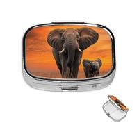 Pill Box 2 Compartment Mini Medicine Pill Case Cute Wild Elephant Pill Holder for Purse Pocket Waterproof Metal Pill Container Decorative Medicine Pill Organiser for Travel or Daily