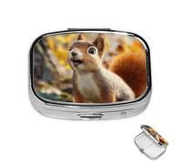Pill Box 2 Compartment Mini Medicine Pill Case Funny Squirrel Pill Holder for Purse Pocket Waterproof Metal Pill Container Decorative Medicine Pill Organiser for Travel or Daily
