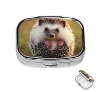 Pill Box 2 Compartment Mini Medicine Pill Case Hedgehog Pill Holder for Purse Pocket Waterproof Metal Pill Container Decorative Medicine Pill Organiser for Travel or Daily