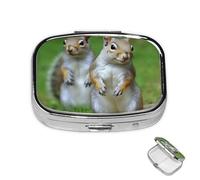 Pill Box 2 Compartment Mini Medicine Pill Case Squirrel Pill Holder for Purse Pocket Waterproof Metal Pill Container Decorative Medicine Pill Organiser for Travel or Daily