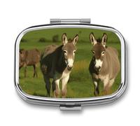 Pill Box 2 Compartment Pill Organizer Donkey on Green Meadow Travel Pill Case with Mirror Square Metal Pill Container Weekly Medicine Planner Vitamin Organizer for Pocket