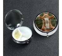 Pill Box 3 Compartment Metal Medicine Pills Organizer Squirrel Funny Animal Pill Case for Purse or Pocket Mini Portable Travel Pills Holder to Hold Supplements Vitamins Fish Oil