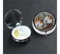 Pill Box 3 Compartment Small Metal Pills Organizer for Purse Pocket Little Squirrel Pill Case Waterproof Medicine Container Portable Travel Pills Holder to Hold Supplements Vitamins Fish Oil