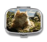 Pill Box Cat Sitting in Green Field 2 Compartment Medicine Pill Case Portable Metal Travel Medicine Box for Pocket Or Purse