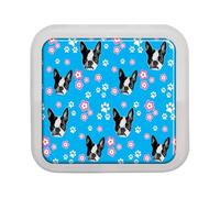 Pill Box for Pocket Purse,4 Compartments Portable Pill Case, Frosted Transparent Pill Container,Travel Pill Organizer Medicine Decorative Box,Boston Terrier Dog