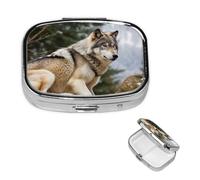 Pill Box Pill Case 2 Compartment Small Pill Organizer for Purse & Pocket Travel Pillbox Snow Mountain Wild Wolf Cute Medicine Organizer Pill Container Holder to Hold Vitamins Fish Oil
