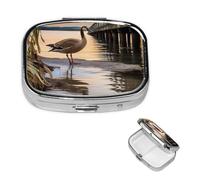 Pill Box Pill Case 2 Compartment Small Pill Organizer for Purse & Pocket Travel Pillbox Wild Goose by The Bridge Cute Medicine Organizer Pill Container Holder to Hold Vitamins Fish Oil