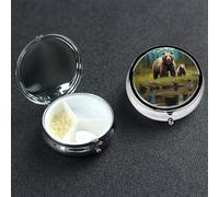 Pill Box Pill Case 3 Compartment Small Pill Organizer for Purse & Pocket Travel Pillbox River Bear Mom Cute Medicine Organizer Pill Container Holder to Hold Vitamins Fish Oil