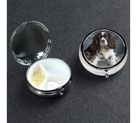Pill Box Pill Case 3 Compartment Small Pill Organizer for Purse & Pocket Travel Pillbox Spaniel On The Sofa Cute Medicine Organizer Pill Container Holder to Hold Vitamins Fish Oil