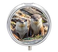 Pill Box Portable Animal Cute Brown Otters Pill Organizer Travel Pill Case for Pocket Or Purse Medicine Pill Container with Mirror 3 Compartments Daily Medicine Organizer