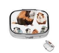 Pill Box Small Medicine Organizer with 2 Compartments Guinea Pig Illustration Pill Case for Pocket or Purse Mini Metal Pill Holder Portable Travel Pill Container to Hold Supplements Vitamins