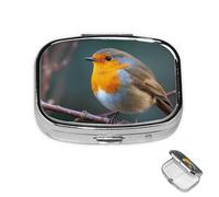Pill Box Small Medicine Organizer with 2 Compartments Robin on Branch Pill Case for Pocket or Purse Mini Metal Pill Holder Portable Travel Pill Container to Hold Supplements Vitamins