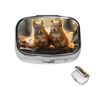 Pill Box Small Medicine Organizer with 2 Compartments Squirrel Animal Pill Case for Pocket or Purse Mini Metal Pill Holder Portable Travel Pill Container to Hold Supplements Vitamins