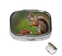 Pill Box Small Medicine Organizer with 2 Compartments Squirrel Pill Case for Pocket or Purse Mini Metal Pill Holder Portable Travel Pill Container to Hold Supplements Vitamins