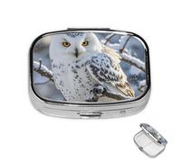 Pill Box Small Medicine Organizer with 2 Compartments Winter White Owl Pill Case for Pocket or Purse Mini Metal Pill Holder Portable Travel Pill Container to Hold Supplements Vitamins