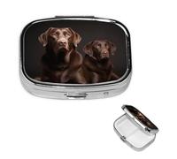 Pill Box Small Pill Case for Pocket & Purse Pill Organizer Portable Pill Container Cute Medicine Organizer Brown Labrador Retriever Travel Pillbox for Vitamin Fish Oil Supplements