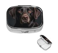 Pill Box Travel Pillbox with 2 Compartment Small Pill Case for Purse & Pocket Portable Medicine Organizer Black Lab Dog Cute Round Pill Container for Vitamins Medication Fish Oil