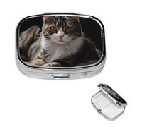 Pill Box Travel Pillbox with 2 Compartment Small Pill Case for Purse & Pocket Portable Medicine Organizer Tabby Cat Cute Round Pill Container for Vitamins Medication Fish Oil
