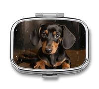 Pill Box with Mirror 2 Compartment Cute Dachshund Pill Case for Purse Pocket Weekly Pill Organizer Travel Medicine Case Portable Pill Container Holder for Daily