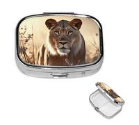 Pill Case with Mirror Retro 2 Compartment Pill Box Female Lion Small Pill Organizer for Purse or Pocket Decorative Metal Medicine Vitamin Organizer Unique Gifts