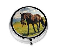 Pill Case with Mirror Retro 3 Compartment Pill Box Grazing Wild Horses Small Pill Organizer for Purse or Pocket Decorative Metal Medicine Vitamin Organizer Unique Gifts