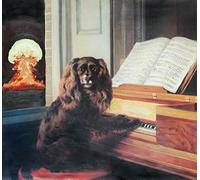 Pill - Soft Hell [VINYL]