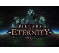 Pillars of Eternity Hero Edition + Preorder Bonus RU VPN Activated Steam CD Key