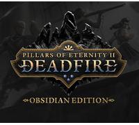 Pillars of Eternity II: Deadfire Obsidian Edition DE Steam CD Key