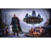 Pillars of Eternity: The White March Part I
