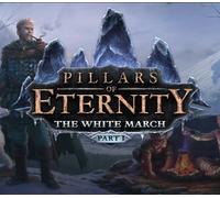 Pillars of Eternity - The White March Part I DLC Steam CD Key