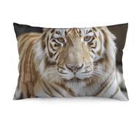 Pillow Case A Cream Tiger Cozy Throw Pillow Cases Super Soft Pillowcases For Bedroom Autumn Sofa 16"X24"