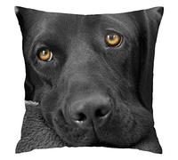 Pillow Case Black Lab Labrador Dog Puppy Cute Dog 45X45Cm Pillowcase Fashion Throw Pillow Case Soft Cushion Case For Car Decor Housewarming Gift Bench