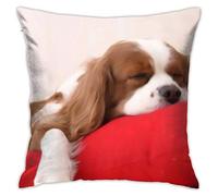 Pillow Case Cavalier King Charles Spaniel Cushion Cover Outdoor Throw Pillow Cover Decoration Throw Cushion Cover For Boys, Birthday Gifts, Home Decor, 45X45Cm