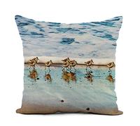 Pillow Case Shorebird Sandpipers Running Along Beach Sand Piper Nautical Ocean Machine Washable Throw Pillow Cases Super Soft Throw Pillowcase For Hotel Patio Autumn