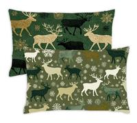 Pillow Cases 2 Pack 20 x 30 Small Cushions Christmas Rectangle Cushion Covers 20cm x 30cm Deer Double Sided Printing Velvet Pillow Cover with Invisible Zipper for Sofa Bed Autumn Decoration Gift,693-j