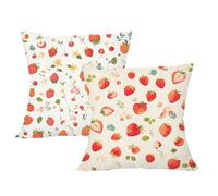 Pillow Cases 2 pack 40 x 40 Small Cushions Pink Square Cushion Covers 40cm x 40cm Strawberry Double Sided Printing Velvet Decorative Pillows for Living Room Winter Home Christmas Decorations,2p361F