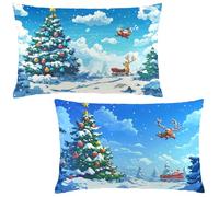 Pillow Cases 2 pack 50 x 75 Cushions Christmas Rectangle Cushion Covers 50x75 cm Block A Few Double Sided Printing Velvet Pillow Covers Invisible Zipper for Sofa Bedroom Autumn Decor Gifts LE-859