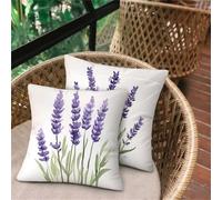 Pillow Cases 2 Pack Dwarf, Gift Soft Cushion Covers 60 x 60, Breathable Waterproof Sofa Cushions, Outdoor Cushions for Garden Furniture Home Bedroom Office Car Porch Bench Chair, Decor Pillows D-7