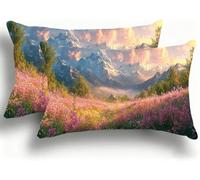 Pillow Cases 2 Pack, Flowers Cushion Covers Decorative Rectangle Pillow Cases, velvet Snow Mountain Cushions,Lumbar Pillowcase 14x28in with Invisible Zipper for Home Decor Sofa Bedroom 40x80cm W0VJ215
