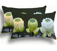 Pillow Cases 2 Pack, Lotus Cushion Covers Decorative Rectangle Pillow Cases, Linen Cyan Cushions, Lumbar Pillowcase 10x20in with Invisible Zipper for Home Decor Sofa Bedroom Car 25x50cm W0VJ-207