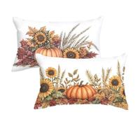 Pillow Cases 2 pack Orange Color Cushion Covers 50x80 Outdoor Cushions Pumpkin Throw Pillow Covers Velvet Sofa Pillows Double Sided Printing Rectangle Cushion Cover for Garden Bench Farmhouse P-30
