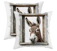 Pillow Cover Cute Donkey Fun Window Animal Cooling Pillow Cases Machine Washable Pillowcases For Sofa Autumn Hotel Set Of 2