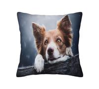 Pillow Cover,Decorative Throw Pillowcase Soft Cushion Covers 30x30 cm for Bedroom Sofa,Brown Border Collie Bokeh God With Yellow Eyes