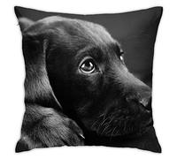 Pillow Cover, Decorative Throw Pillowcase Soft Cushion Covers 55x55 cm for Bedroom Sofa Lovely Black Labrador Dog