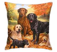 Pillow Cover,Fall Labrador Lab Golden Retriever Dog Thanking Decorative Throw Pillowcase Soft Cushion Covers 30x30 cm for Bedroom Sofa