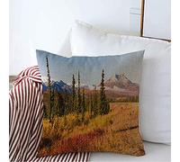 Pillow Cover Mount Panoramic Dramatic Wild View Wilderness Tundra Mountainous Low Landscape Last Nature Geology Cushion Case Premium Pillow Protectors For Bed Chair Sofa 45X45 CM